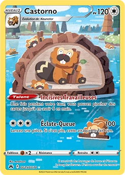 Castorno — carte Pokémon Zénith Suprême