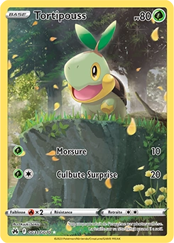 Tortipouss — carte Pokémon Zénith Suprême