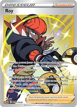 Roy — carte Pokémon Tempête Argentée