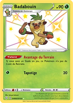 Badabouin — carte Pokémon Destinées Radieuses